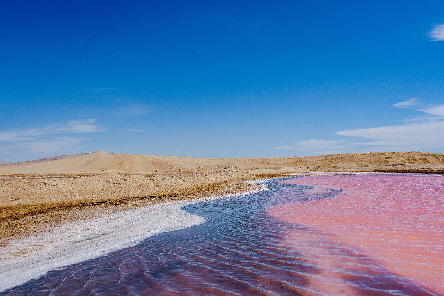 a pink salt lagoon in paracas, peru, bordered by pale desert sand under a wide blue sky.
